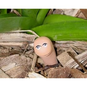 Water Sensor: Terra Cotta Worm Design 5 pack
