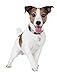 Beneful Healthy Smile Dental Dog Snacks, Small/Medium Twists, 18.9-Ounce Pouch, Pack of 1