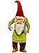 Fun World Unisex Big Head Evil Gnome Adult Costume, Multi, Standard