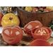 Tomato Saver by Gourmac