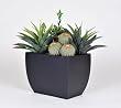 Artificial Succulent Garden in Tall Curved Rectangle