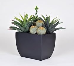 Artificial Succulent Garden in Tall Curved Rectangle