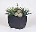 Artificial Succulent Garden in Tall Curved Rectangle