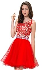 Tulle Scoop Neck Applique Beaded Short Mini Dress 