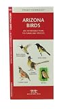Arizona Birds: An Introduction to Familiar Species (A Pocket Naturalist Guide)