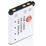 CTA Digital DB-CANP80 NP-80 Rechargeable Lithium-Ion Battery (850mAh, 3.6V) Replacement for Casio NP-80 Battery