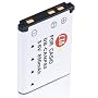 CTA Digital DB-CANP80 NP-80 Rechargeable Lithium-Ion Battery (850mAh, 3.6V) Replacement for Casio NP-80 Battery