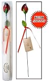 41xkJQgW83L. SL160  Large Red Long Stem Seashell Rose   Gift Boxed Flower