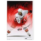 (24x36) Eric Staal (Centrifugal Force) Sports Poster Print