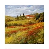 Landscape with Poppies I Beautiful MUSEUM WRAP CANVAS Print with Added BRUSHSTROKES Heinz Schlnhammer 20x20