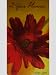 Red Flower 2010/2011 Two Year Planner