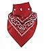 Bandana - Paisley - Classic Paisley Bandana
