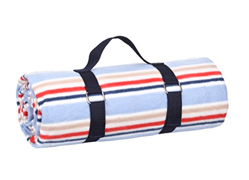 Coastal 27853 Striped Picnic Rug - Multi-Colour