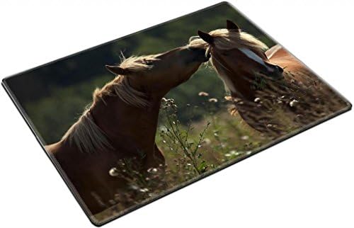 Cuddle Brown Horses Wild Field Punktail's Collections Placemat Pads Customized Made To Order Support Ready High Quality Eco Friendly Cloth With Neoprene Rubber 15 6/8 Inch (400mm) X 11 13/16 Inch (300mm) X 1/8 Inch (3mm)