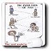 Londons Times Funny Panel Hollywood Cartoons - Richard Simmons The Evolution Of Man - Mouse Pads Image