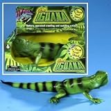 Real Iguana by Geospace Life Like Lizard Reptile