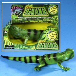 Real Iguana by Geospace Life Like Lizard Reptile 41xktSbiHRL Real Iguana by Geospace Life Like Lizard Reptile