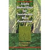 azolla biofertilizer for sustainable rice production