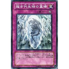 �y�V�Y���J�[�h�z ���Ñ㐶���̕�� RGBT-JP078-SR �y�X�[�p�[�z