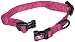 Hamilton 3/8" Adjustable Dog Collar, Extra Small, Fits 7"-12", Wine