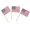 United States Flag Toothpicks