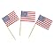 United States Flag Toothpicks