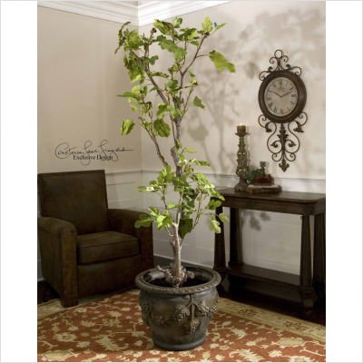 Uttermost Jordan Valley, Fig Tree