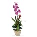 Single Flame Silk Bromeliad/Orchid Combo