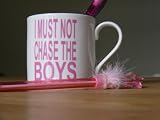 1/2 pint Large bone china coffee mug "I MUST NOT CHASE THE BOYS"