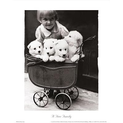 Girl with puppies in pram