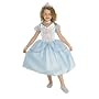 Child's Five Precious Pieces Cinderella Costume, Toddler