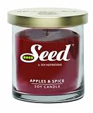 Buy Candles Online Soy Basics Seed Soy Candle, Apples and Spice, 7.5 Ounce (Pack of 2) 41xlwgwsoHL. SL160 Buy Candles Online Soy Basics Seed Soy Candle, Apples and Spice, 7.5 Ounce (Pack of 2)