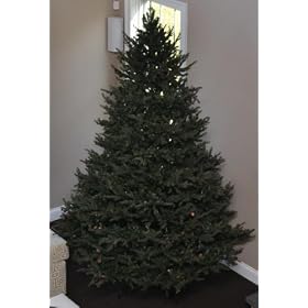 GKI/Bethlehem Lights Pre-lit Foot Hunter PE/PVC Christmas Tree