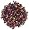 Tropical Fruit Cocktail Herbal Tea 16 oz (1 lb) bag of loose tea