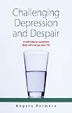 Challenging Depression and Despair: A Self-help Programme That Will Change Your Life
