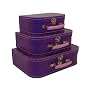 Cargo Cool Euro Suitcases, Purple, Set of 3