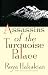 Assassins of the Turquoise Palace