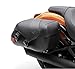 Kawasaki K53000-276 Custom SE Saddlebag