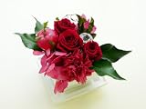 �С�ka�ͥߥ� �ڤ��ʤ��򵱤�����ե����� Florist S.F.D�� �� �ץꥶ���֥ɥե� £ʪ�䤴����Υ���ƥꥢ�ˤɤ��� ��