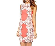 Sexy Polyester/Spandex Lace Sleeveless High-Neck Bodycon Dress/Club Dress/Party Dress/Mini Dress 