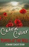 Poppies at the well : a short ghost story
