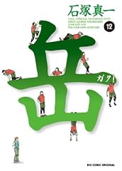 岳 みんなの山 12 (ビッグコミックス)