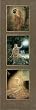 Kinuko Y. Craft (Goddesses of Avalon) Art Poster Print - 12x36