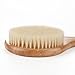 HOMEIDEAS Wooden Handle Bristle Bath Brush for Dry Skin and Body Brushing - Long, Wooden Handle, Natural Boar Bristles, Bamboo Body Spa Brush - Dry Body Brush for Cellulite, Exfoliation