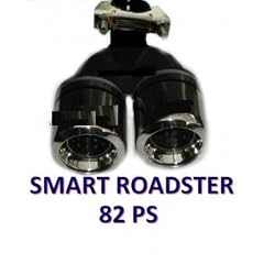 Doppelendrohr, Smart Roadster 82PS, 2x 60mm, mit ABE