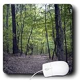 WhiteOak Photography Nature Scenes - Path in the Woods - Mouse Pads