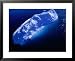 Aerial View of Iceberg in Baffin Bay, Canada Framed Art Poster Print by Nicholas Reuss, 31x25