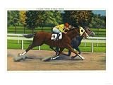 Saratoga Springs, New York - A Close Finish at the Race Track, Horses Travel Premium Poster Print, 18x24