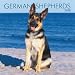 German Shepherds 2008 Wall Calendar