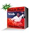 Black Belt Web Marketing (Penny Books)